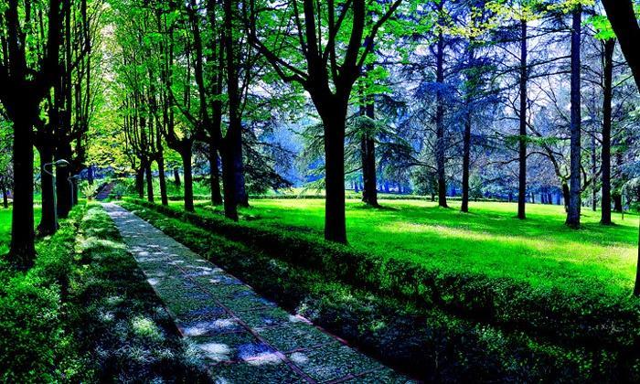 Hotel Terme Монтичелли-Терме Экстерьер фото